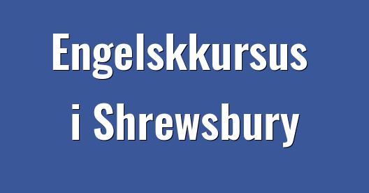 Facebook Share Box bybillede
