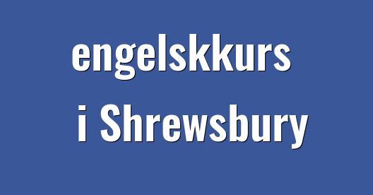 Facebook delingsboks bybilde