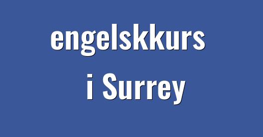 Facebook delingsboks bybilde