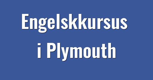 Facebook Share Box bybillede