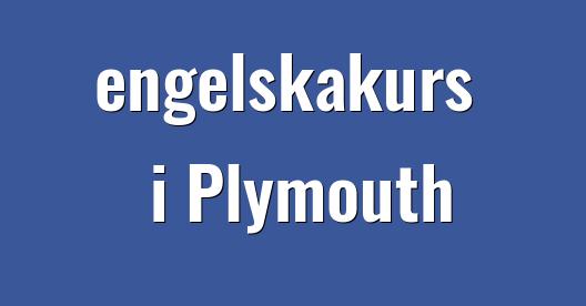 Facebook delningsbox stadssida