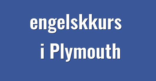 Facebook delingsboks bybilde