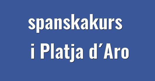 Facebook delningsbox stadssida