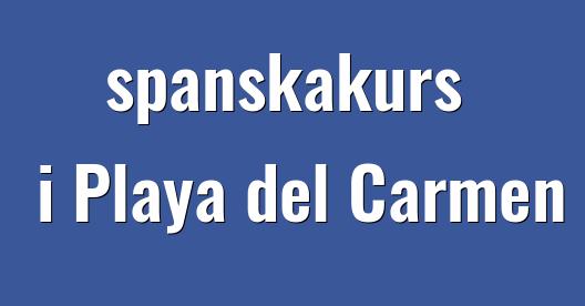 Facebook delningsbox stadssida