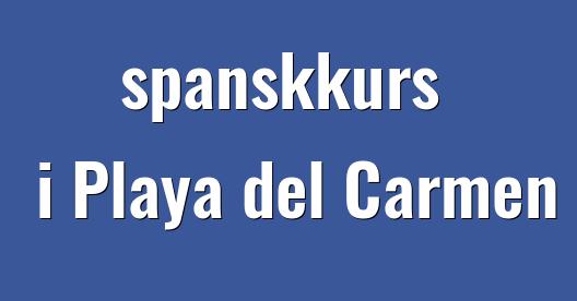 Facebook delingsboks bybilde