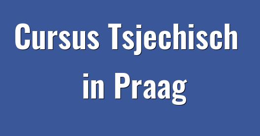 Facebook Share Box stadsbeeld