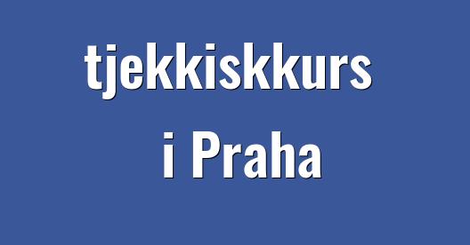 Facebook delingsboks bybilde