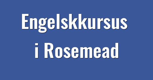 Facebook Share Box bybillede