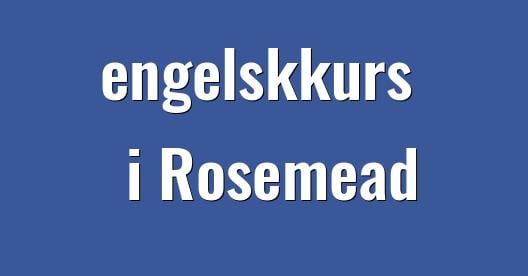 Facebook delingsboks bybilde