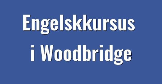 Facebook Share Box bybillede