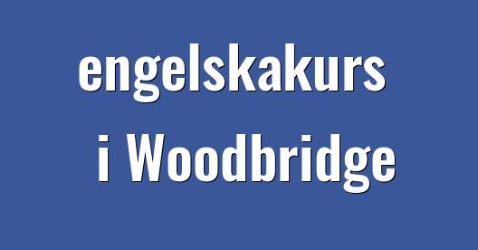 Facebook delningsbox stadssida