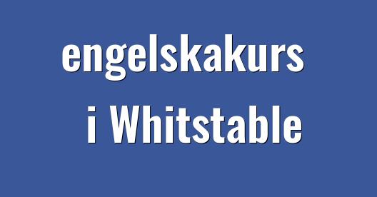 Facebook delningsbox stadssida