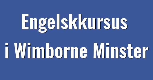 Facebook Share Box bybillede
