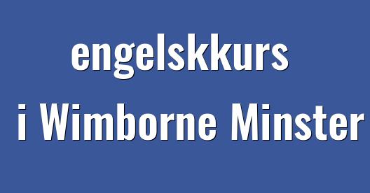 Facebook delingsboks bybilde