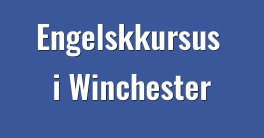 Facebook Share Box bybillede
