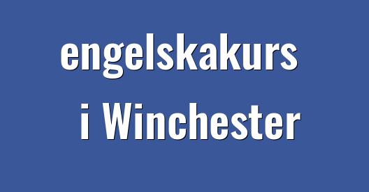 Facebook delningsbox stadssida