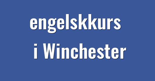 Facebook delingsboks bybilde