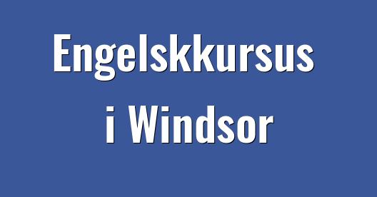 Facebook Share Box bybillede