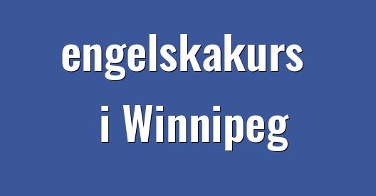 Facebook delningsbox stadssida