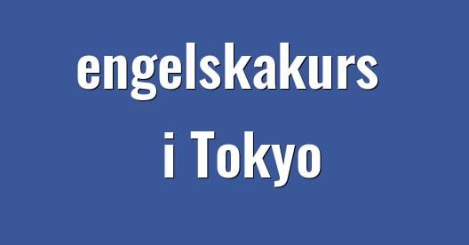 Facebook delningsbox stadssida