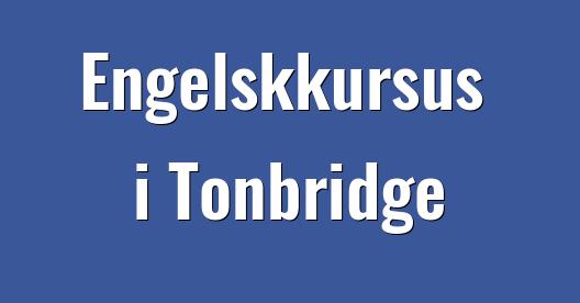 Facebook Share Box bybillede
