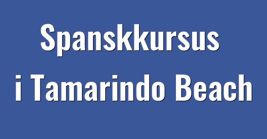 Facebook Share Box bybillede
