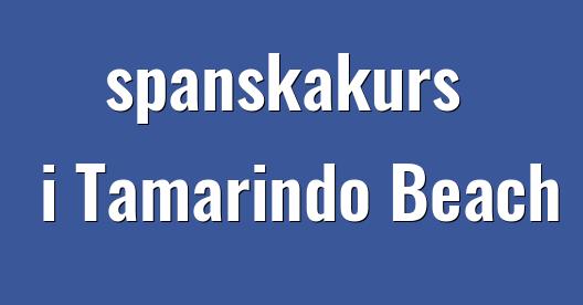 Facebook delningsbox stadssida