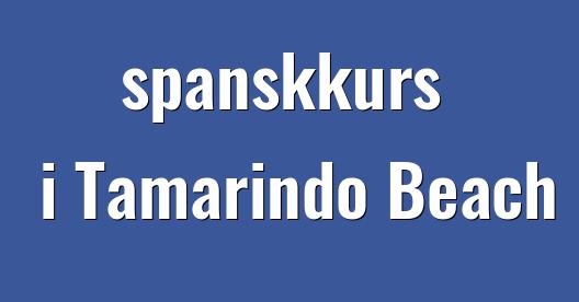 Facebook delingsboks bybilde