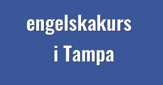 Facebook delningsbox stadssida