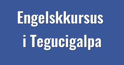Facebook Share Box bybillede