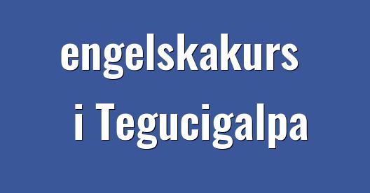 Facebook delningsbox stadssida