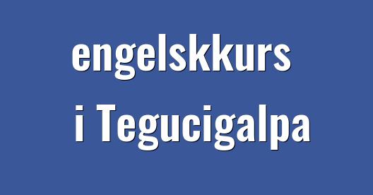 Facebook delingsboks bybilde