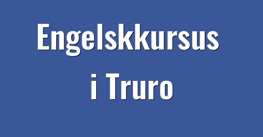 Facebook Share Box bybillede
