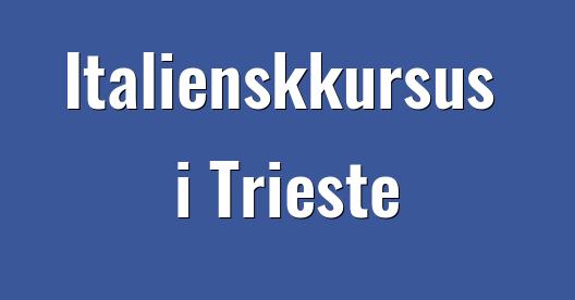 Facebook Share Box bybillede