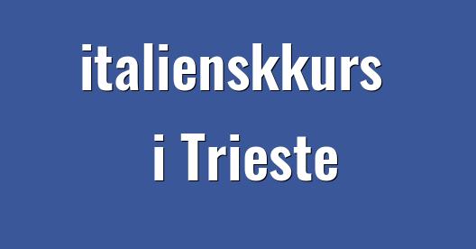 Facebook delingsboks bybilde