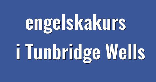 Facebook delningsbox stadssida