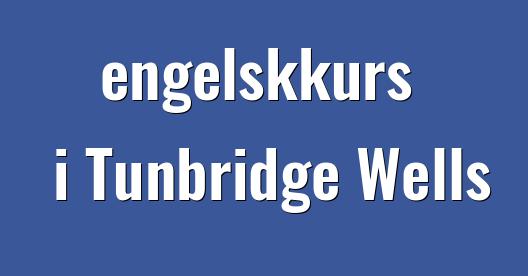 Facebook delingsboks bybilde