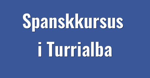 Facebook Share Box bybillede