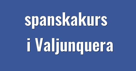 Facebook delningsbox stadssida