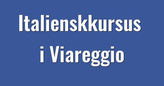 Facebook Share Box bybillede