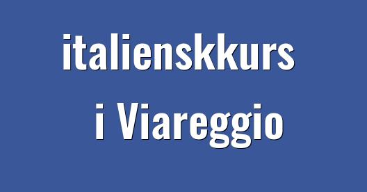 Facebook delingsboks bybilde