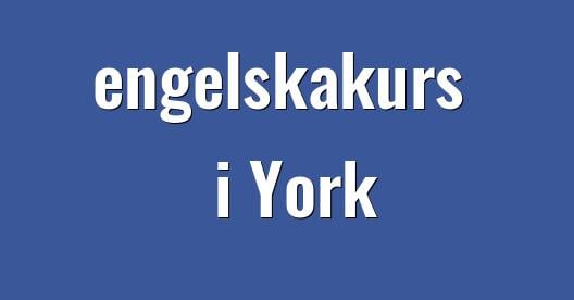 Facebook delningsbox stadssida