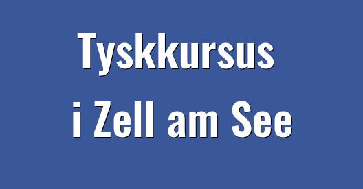Facebook Share Box bybillede